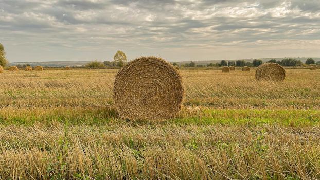 hay-roll on meadow against sunset background