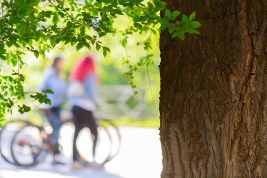 Girl on bike. Walking in park on bicycle. Sports activities on bicycles. Outdoor sports.