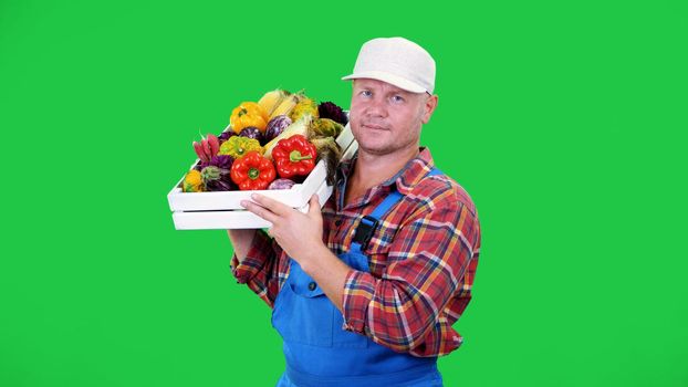 smiling male farmer in plaid shirt and hat holds a box with different fresh vegetables, on Chromakey, green background. concept of crop counting, harvest of vegetables. High quality photo