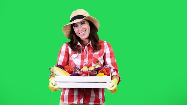 smiling female farmer in plaid shirt, gloves and hat wipes the sweat, holds a box with different fresh vegetables, harvest. green background, studio, Healthy food to your table. High quality photo