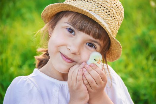 The child holds a chicken in his hands. Selective focus.