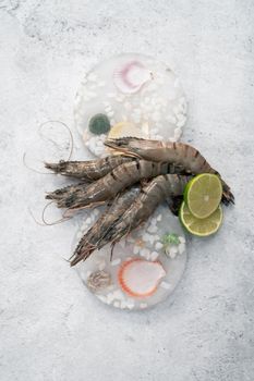 Raw whole fresh uncooked prawns shrimps on decorated ice with lime on gray stone background.