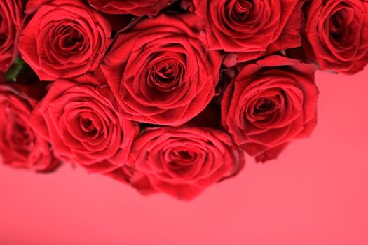 Blooming rose, flower blossom and Valentines Day gift concept - Gourgeous luxury bouquet of red roses, flowers in bloom as floral holiday background