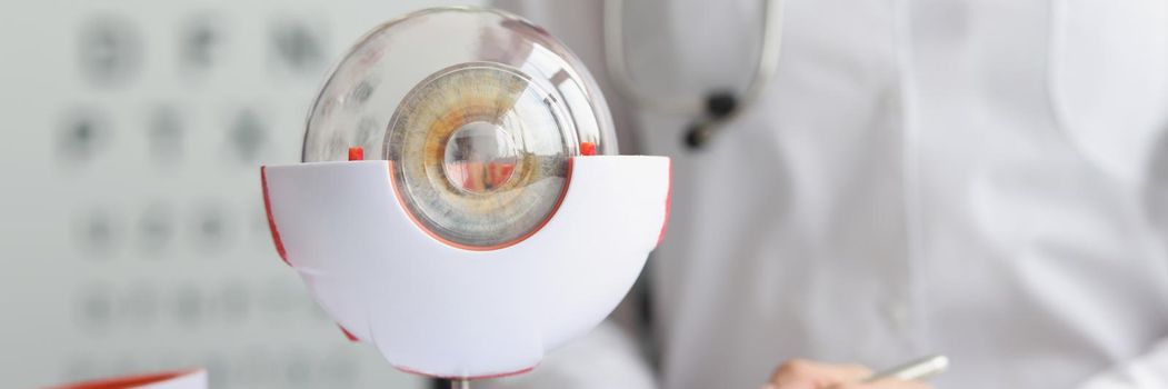 Close-up of ophthalmologist doctor in clinic, part of eye model on desk, oculus sample. Make appointment at oculist. Health, ophthalmology, checkup concept