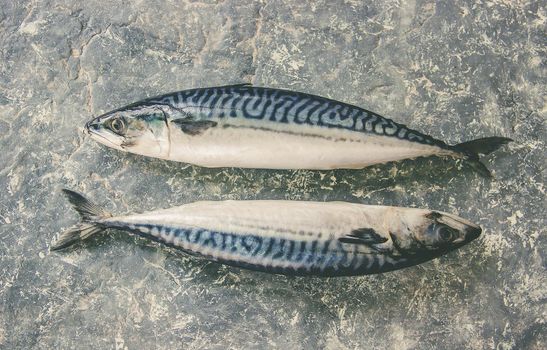 raw fish of mackerel. Selective focus. Food and drink.