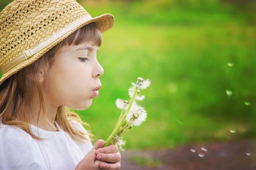 girl blowing dandelions in the air. selective focus.