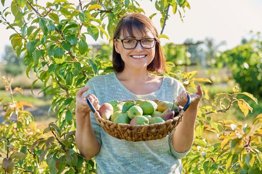 Woman harvesting organic pears in garden on sunny autumn day. Middle-aged female near pear tree, posing in an orchard. Agriculture, harvesting, farming, natural eco fruits, healthy eating concept