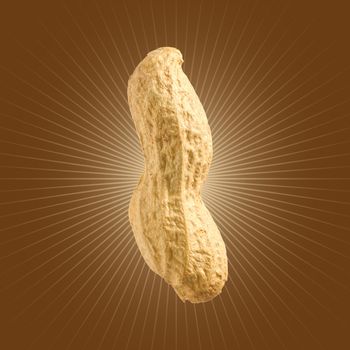 Peanuts on brown gradient background. Closeup peanut. used for design element, packaging design