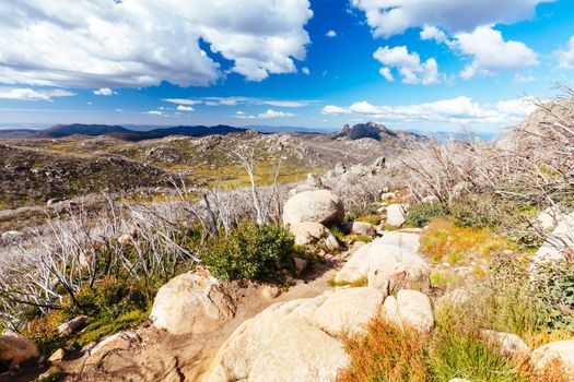 Views at the Horn Hut and picnic area on Mt Buffalo on a summer's afternoon in the Victorian Alps, Australia