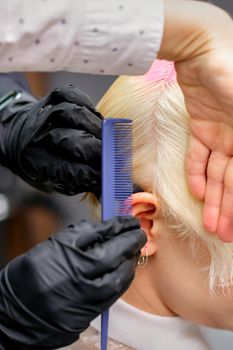 Combing hair with a comb during dyeing white hair of a young blonde woman in hairdresser salon