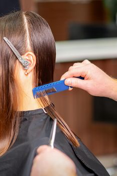 Hairdresser divides long hair into sections with the comb of a young caucasian brunette woman in a hair salon, side view