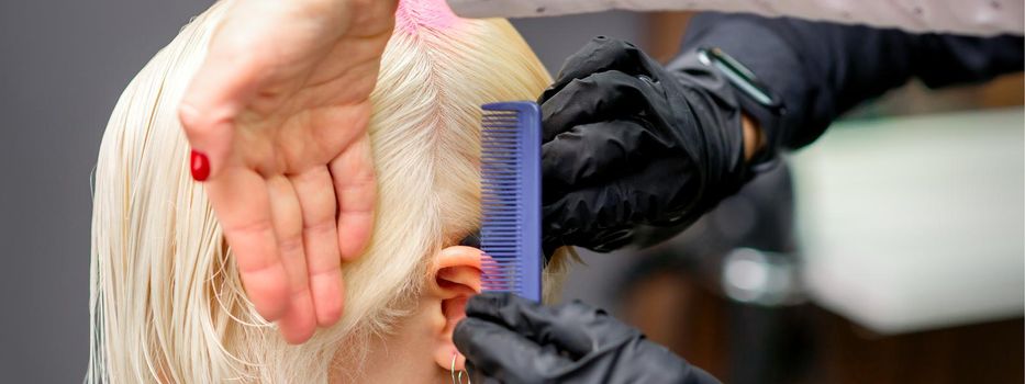 Combing hair with a comb during dyeing white hair of a young blonde woman in hairdresser salon