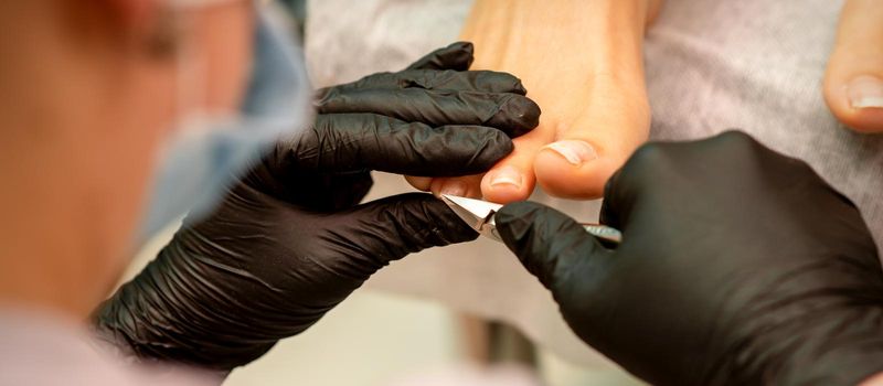 Professional pedicure. Pedicure master wearing latex gloves cuts female toenails in the beauty salon, closeup