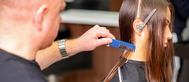 Hairdresser divides long hair into sections with the comb of a young caucasian brunette woman in a hair salon, side view