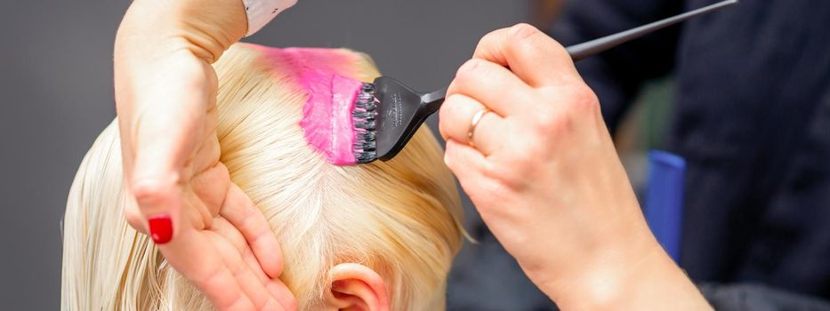 Applying pink dye with the brush on the white hair of a young blonde woman in a hairdresser salon