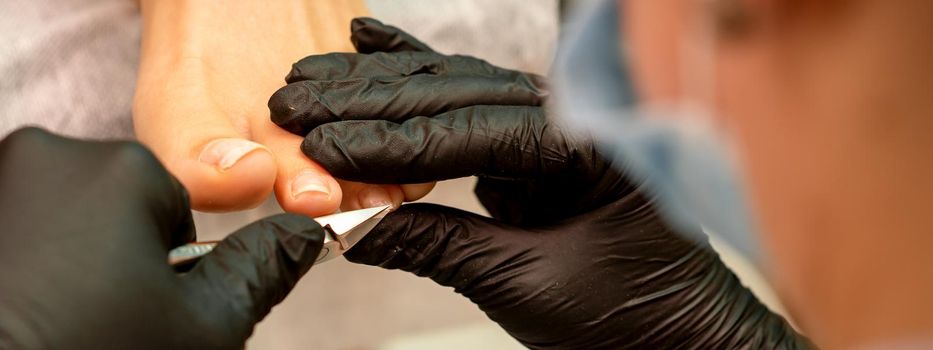 Professional pedicure. Pedicure master wearing latex gloves cuts female toenails in the beauty salon, closeup