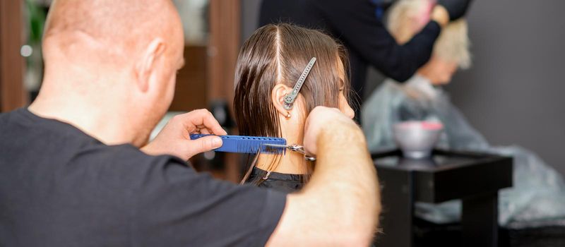 Haircut of long wet hair of young caucasian woman by a male hairdresser in a hairdresser salon, side view