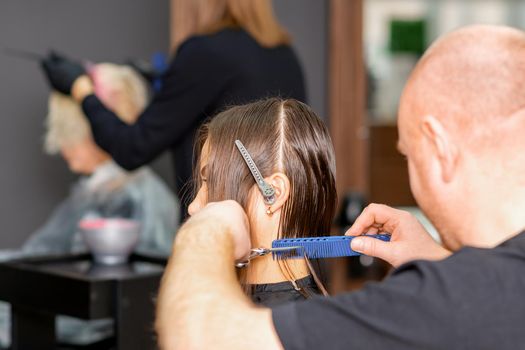 Haircut of long wet hair of young caucasian woman by a male hairdresser in a hairdresser salon, side view