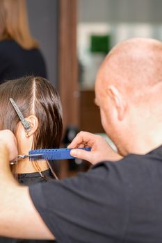 Haircut of long wet hair of young caucasian woman by a male hairdresser in a hairdresser salon, side view