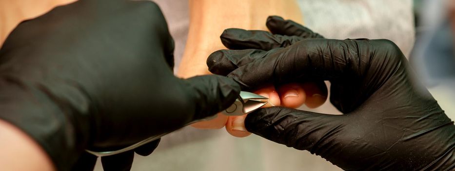 Professional pedicure. Pedicure master wearing latex gloves cuts female toenails in the beauty salon, closeup