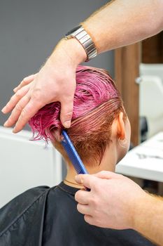 A hairdresser is combing the dyed pink wet short hair of the female client in the hairdresser salon, back view