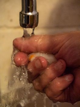 cleaning a raw adriatic cuttlefish at home in Numana, Marche, Italy