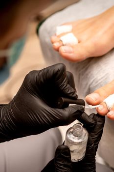 Manicure master painting nails on a female foot with transparent nail polish in a beauty salon, close up