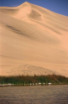 view of sandwich harbour, Namibia, Africa