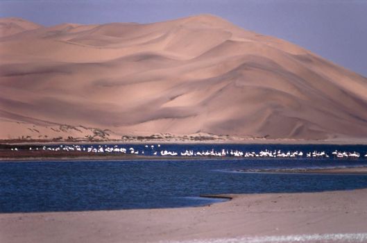 view of sandwich harbour, Namibia, Africa