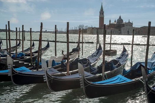 Gondolas moored at Piazza San Marco in Venice