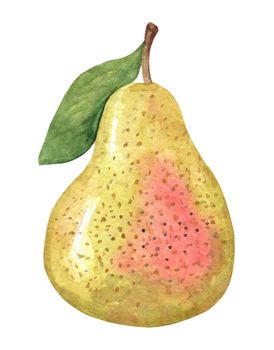 Watercolor green pear isolated on white background. Hand drawn fruit illustration