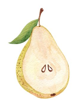 Watercolor half pear with seeds isolated on white background