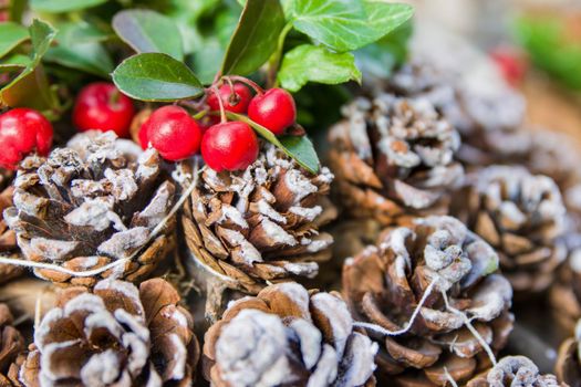 red Christmas berries on the background of cones in the snow