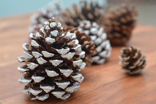 Pine cones on wooden background