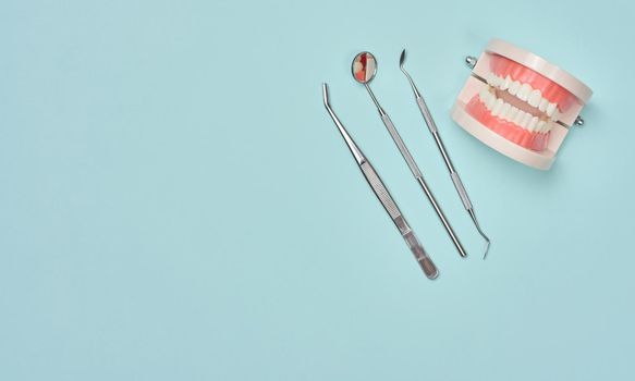 Plastic model of human jaw with white even teeth and a medical examination mirror, tweezers on a blue background, oral hygiene