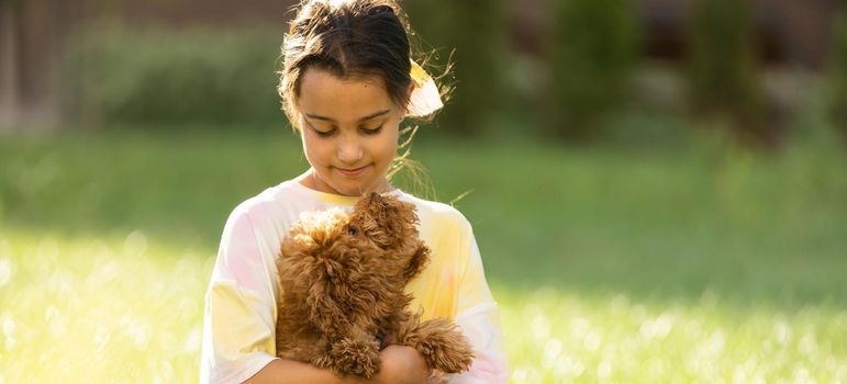 a little girl with Adorable Maltese and Poodle mix Puppy or Maltipoo dog.