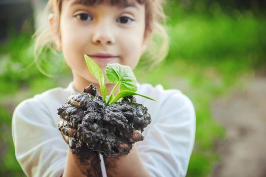 A child plants a plant in the garden. Selective focus.