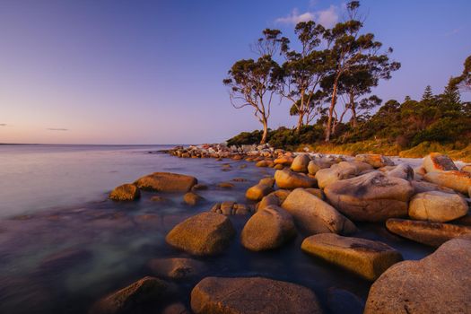 The lichen covered rocks at sunset in the Bay of Fires at Binalong Bay, Australia
