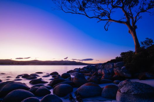 The lichen covered rocks at sunset in the Bay of Fires at Binalong Bay, Australia