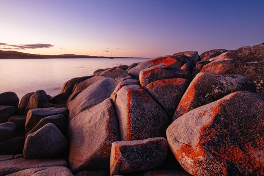 The lichen covered rocks at sunset in the Bay of Fires at Binalong Bay, Australia