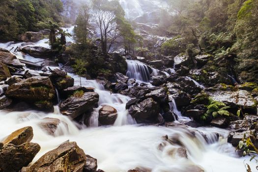 The iconic and popular St Columba Falls which is one of the highest waterfalls in Tasmania on a warm spring day in Pyengana, Tasmania, Australia
