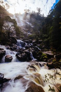 The iconic and popular St Columba Falls which is one of the highest waterfalls in Tasmania on a warm spring day in Pyengana, Tasmania, Australia