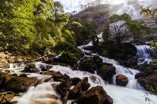 The iconic and popular St Columba Falls which is one of the highest waterfalls in Tasmania on a warm spring day in Pyengana, Tasmania, Australia