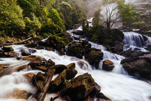The iconic and popular St Columba Falls which is one of the highest waterfalls in Tasmania on a warm spring day in Pyengana, Tasmania, Australia
