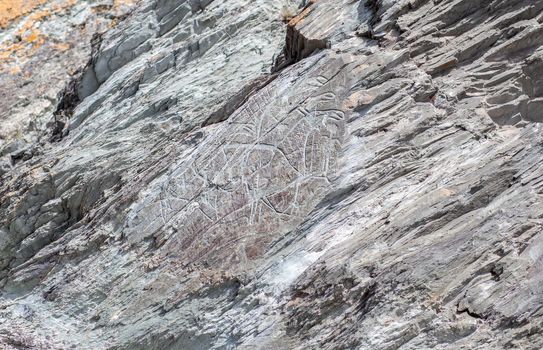 Old rock carvings of an ancient man on rocks in Siberia. The drawings depict animals and people