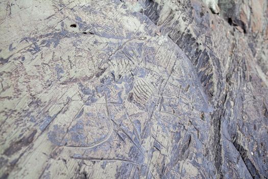 Old rock carvings of an ancient man on rocks in Siberia. The drawings depict animals and people