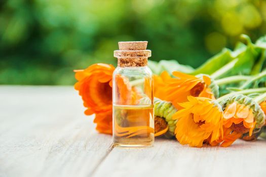 The calendula extract. Medicinal plants. Selective focus.