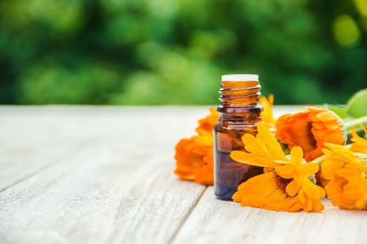 The calendula extract. Medicinal plants. Selective focus.