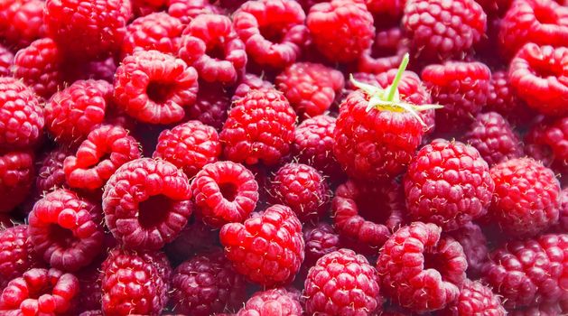 Raspberries are in the hands of a child in the form of a heart.