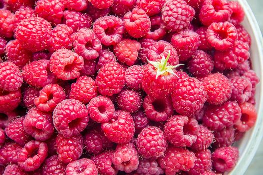 Raspberries are in the hands of a child in the form of a heart. nature.